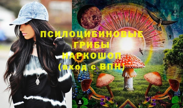 прущие грибы Алексин